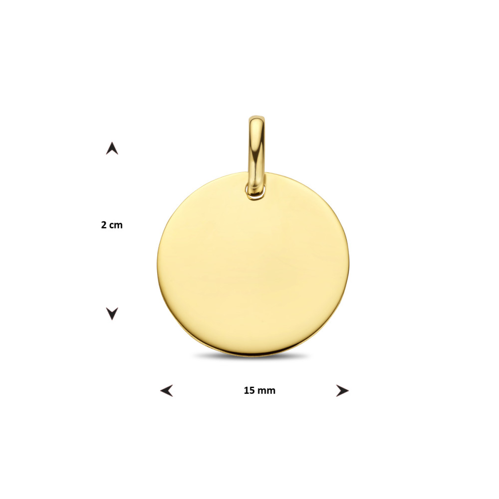 platte-ronde-graveerhanger-van-14-karaat-goud-15-mm-breed-hoogte-20-mm