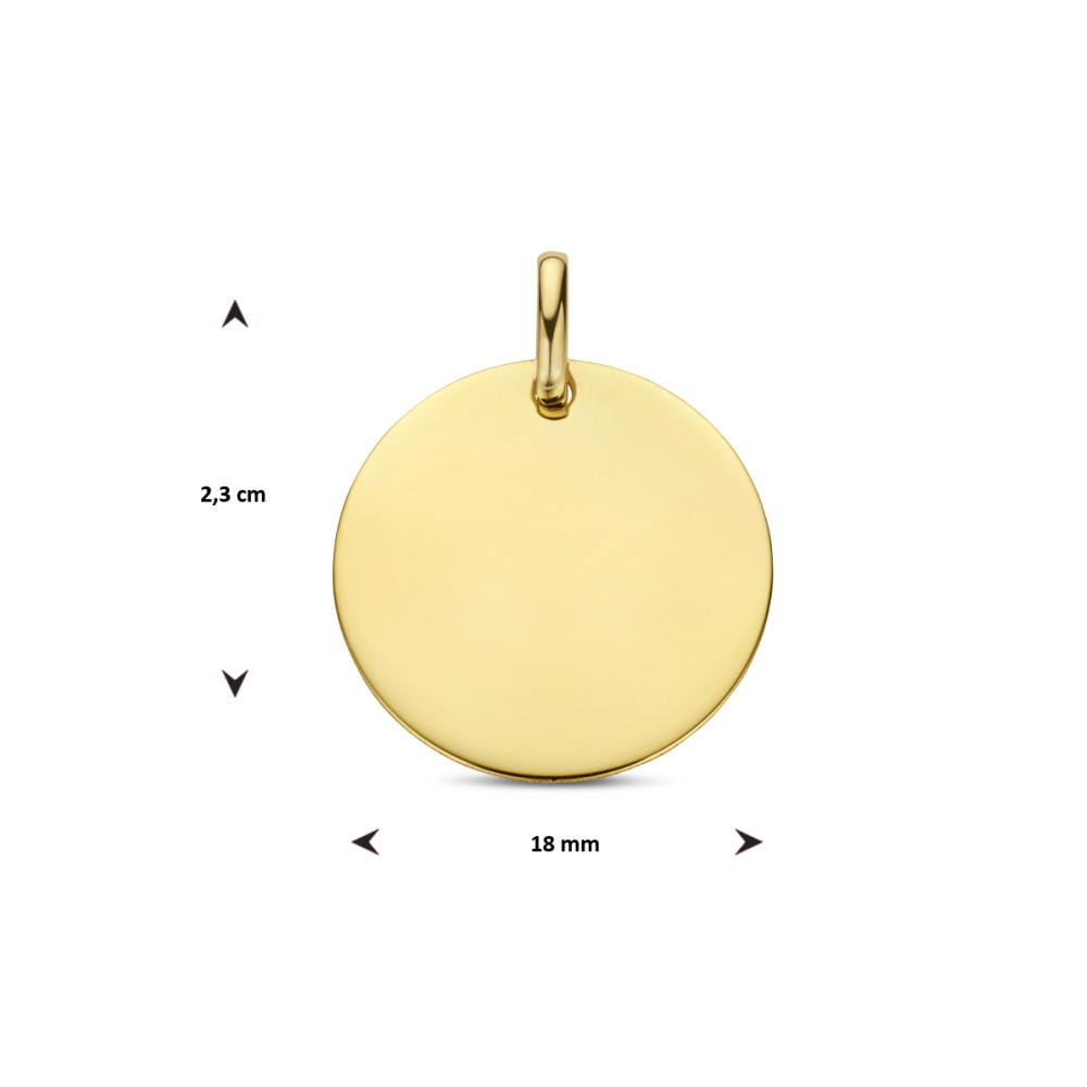 platte-ronde-graveerhanger-van-14-karaat-goud-18-mm-breed-hoogte-23-mm