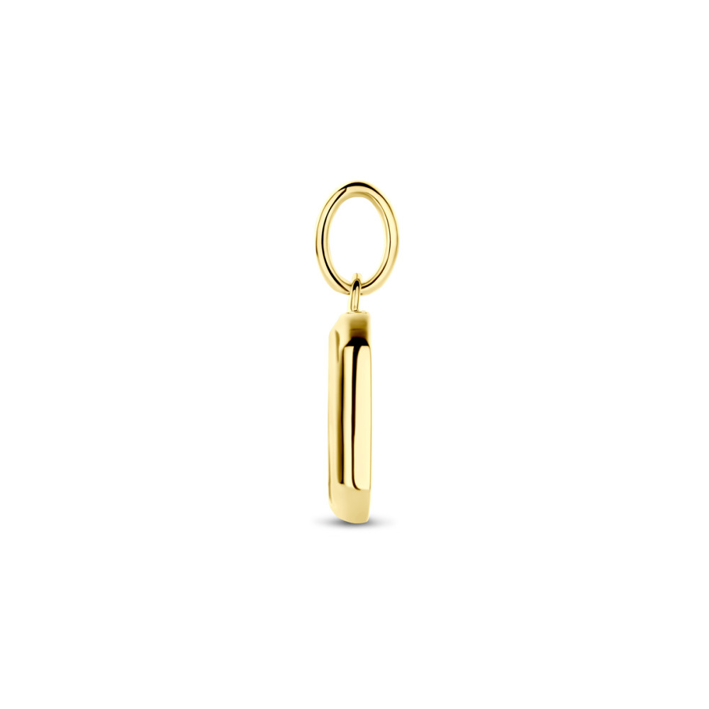 rechthoekige-goudkleurige-hanger-met-onyx-zwart-glanzend-10-mm-breed-x-20-mm-hoog