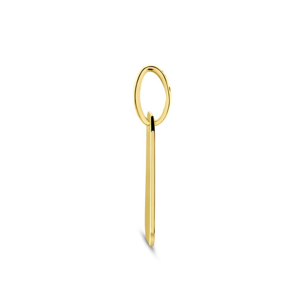 rechthoekige-graveerhanger-14-karaat-goud-glanzend-10-5-mm-breed-x-18-mm-hoog