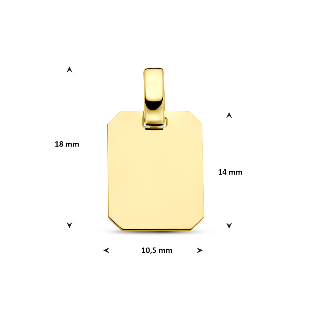 rechthoekige-graveerhanger-14-karaat-goud-glanzend-10-5-mm-breed-x-18-mm-hoog