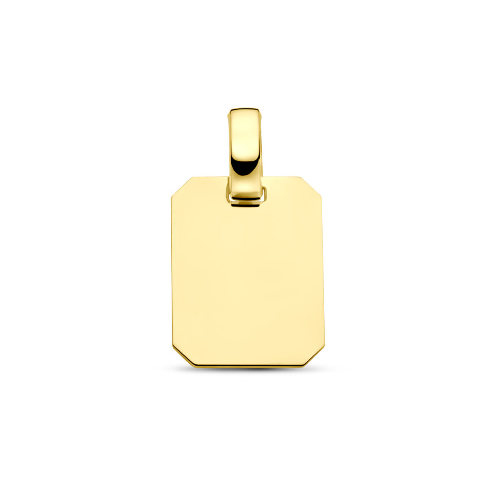 rechthoekige-graveerhanger-14-karaat-goud-glanzend-10-5-mm-breed-x-18-mm-hoog
