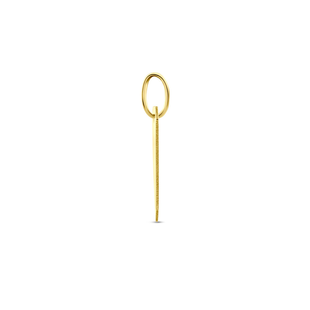 rechthoekige-hanger-9-karaat-goudkleurig-personaliseerbaar-11-mm-breed-x-20-mm-hoog