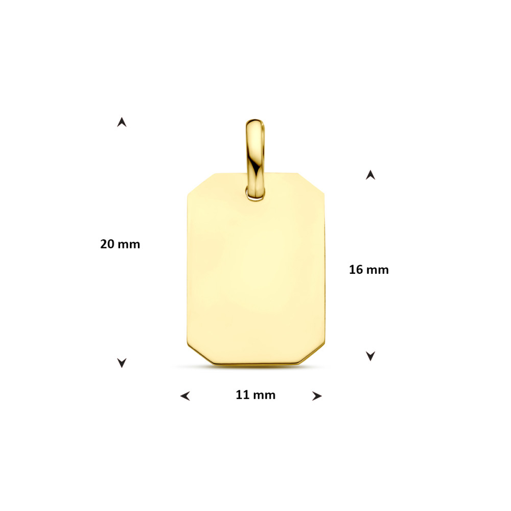 rechthoekige-hanger-9-karaat-goudkleurig-personaliseerbaar-11-mm-breed-x-20-mm-hoog