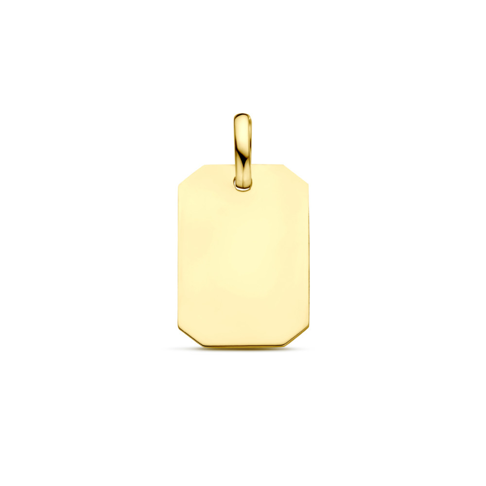 rechthoekige-hanger-9-karaat-goudkleurig-personaliseerbaar-11-mm-breed-x-20-mm-hoog