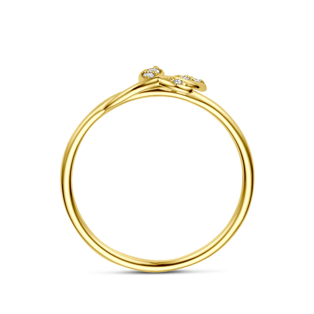 ring-14-karaat-goud-en-diamanten-0-03-crt-bladeren-5-5-mm-breedte