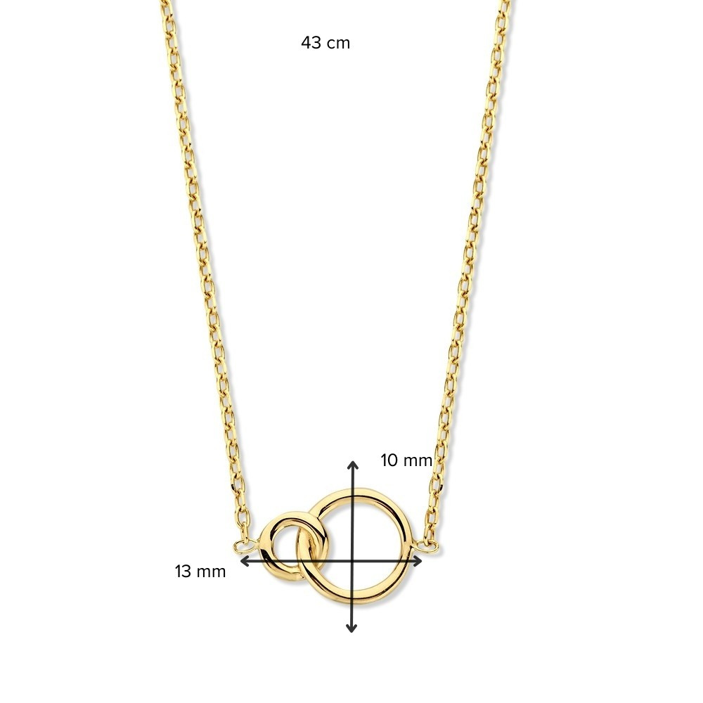 ronde-14-karaat-gouden-collier-met-hanger-lengte-43-cm