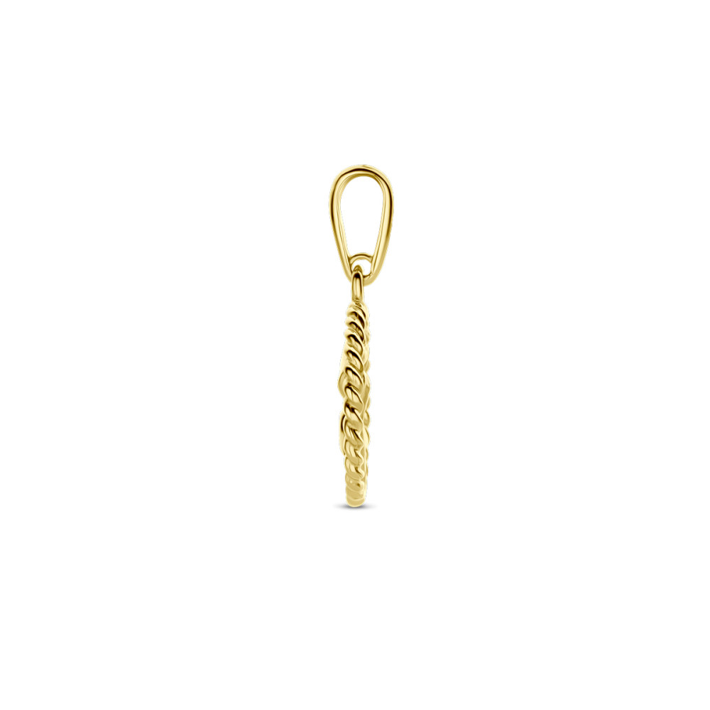 ronde-gouden-geboortebloem-hanger-10-mm-breed-hoogte-17-mm/maand-februari