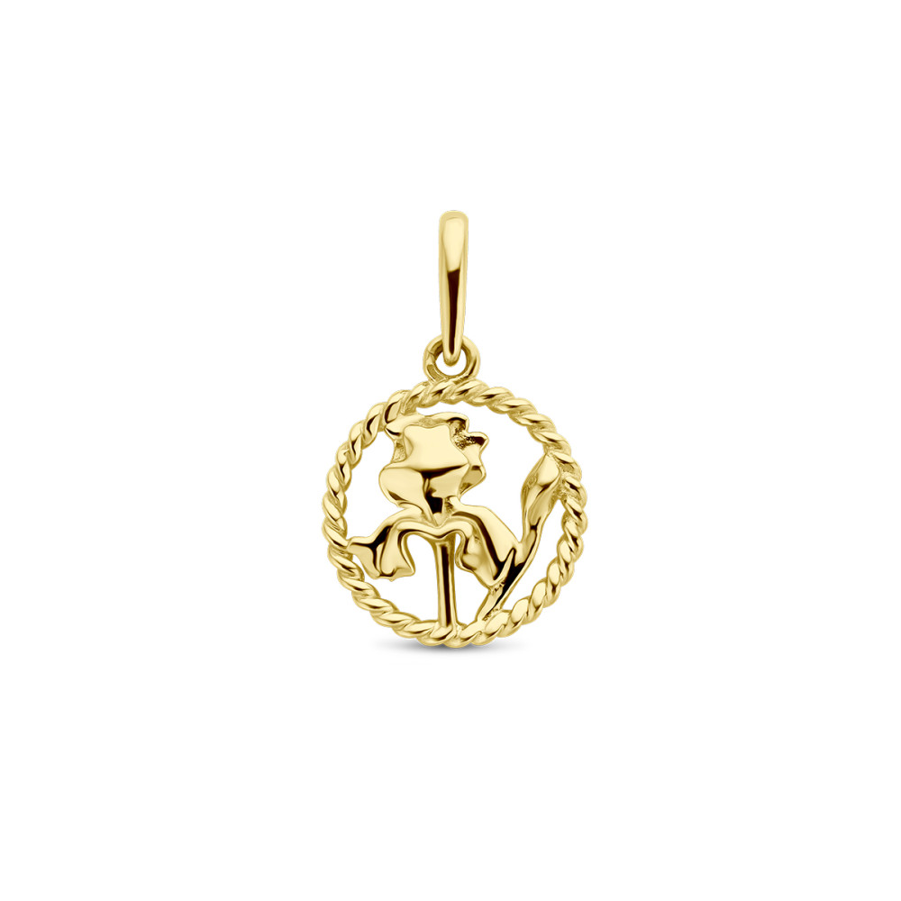 ronde-gouden-geboortebloem-hanger-10-mm-breed-hoogte-17-mm/maand-februari