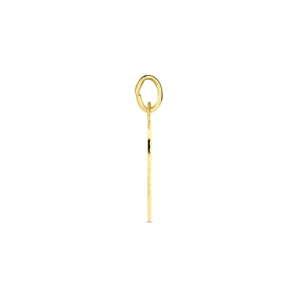 ronde-graveerhanger-14-karaat-goud-matte-afwerking-21-mm-hoog