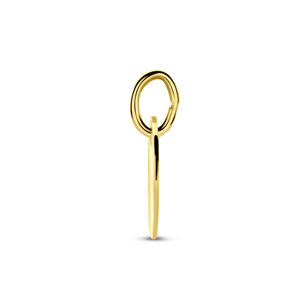 ronde-graveerhanger-gehamerd-14-karaat-goud-13-mm-hoog