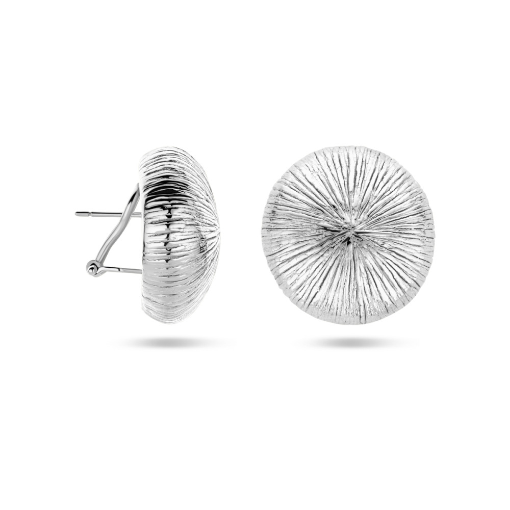 ronde-oorstekers-zilver-gerhodineerd-diameter-25-mm