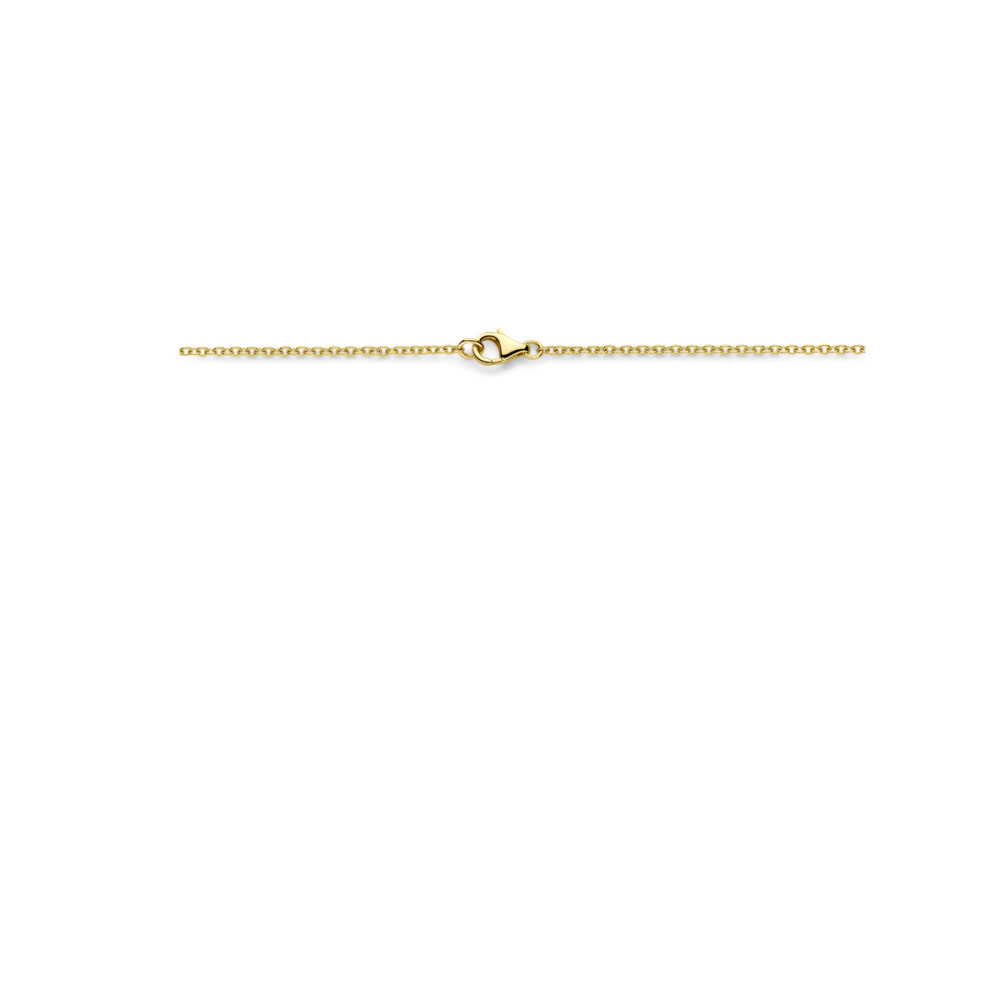 ronhet-collier-1-7-mm-met-hanger-in-14-karaat-goud-lengte-45-cm