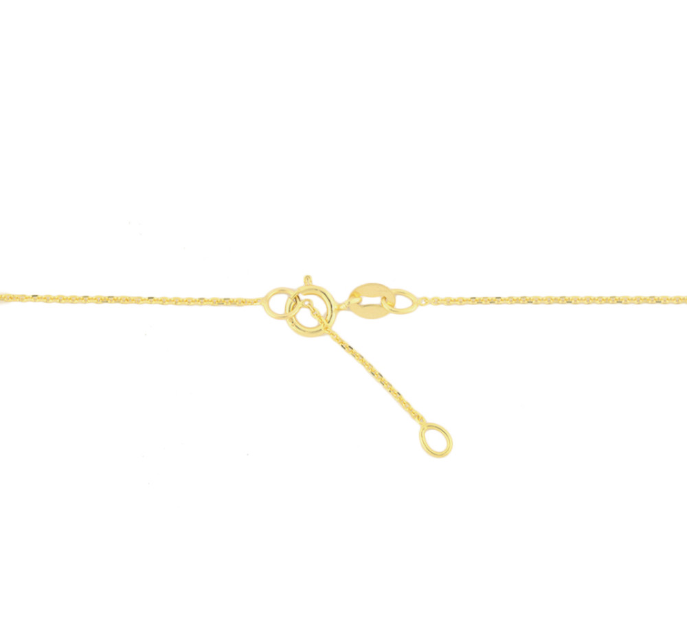 ronhet-collier-met-hanger-goud-lengte-verstelbaar-40-42-cm
