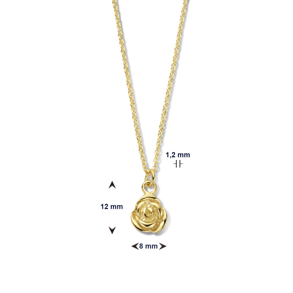 roos-ketting-goudkleurig-glanzend-1-2-mm-breedte-lengte-41-45-cm