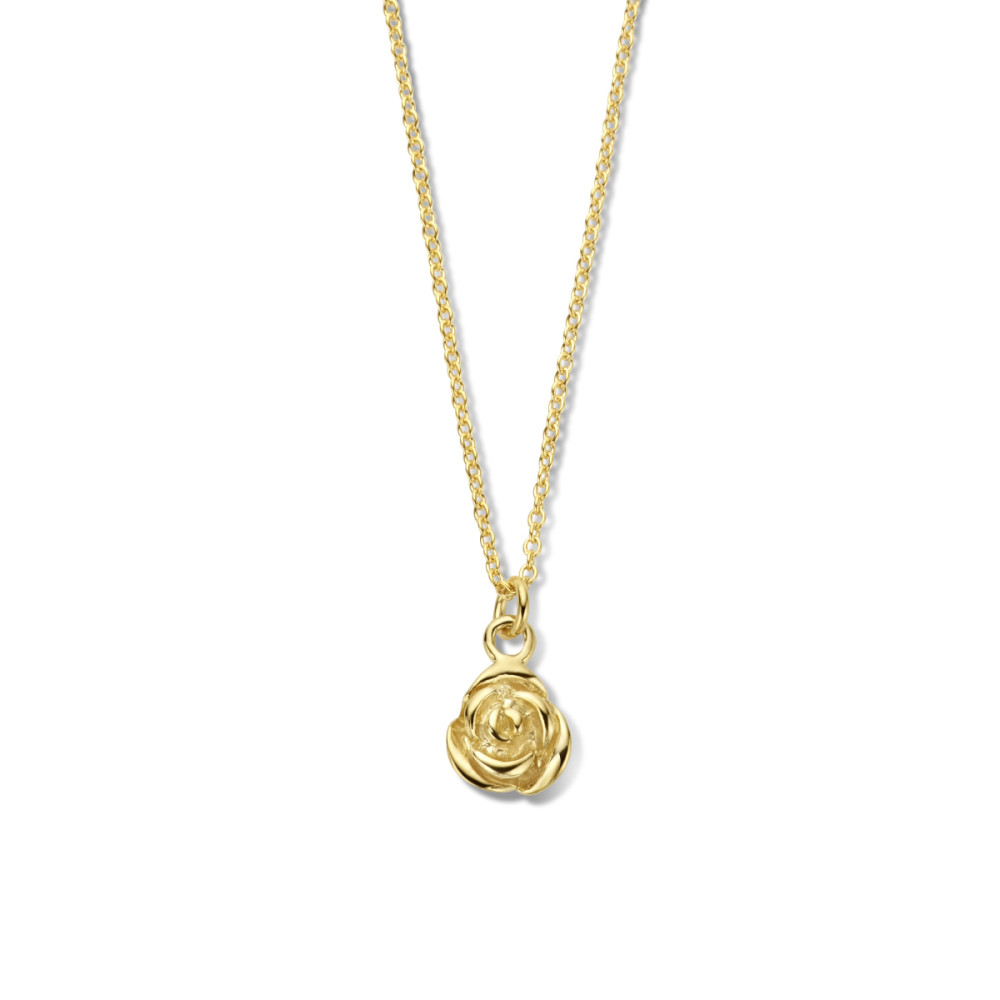 roos-ketting-goudkleurig-glanzend-1-2-mm-breedte-lengte-41-45-cm