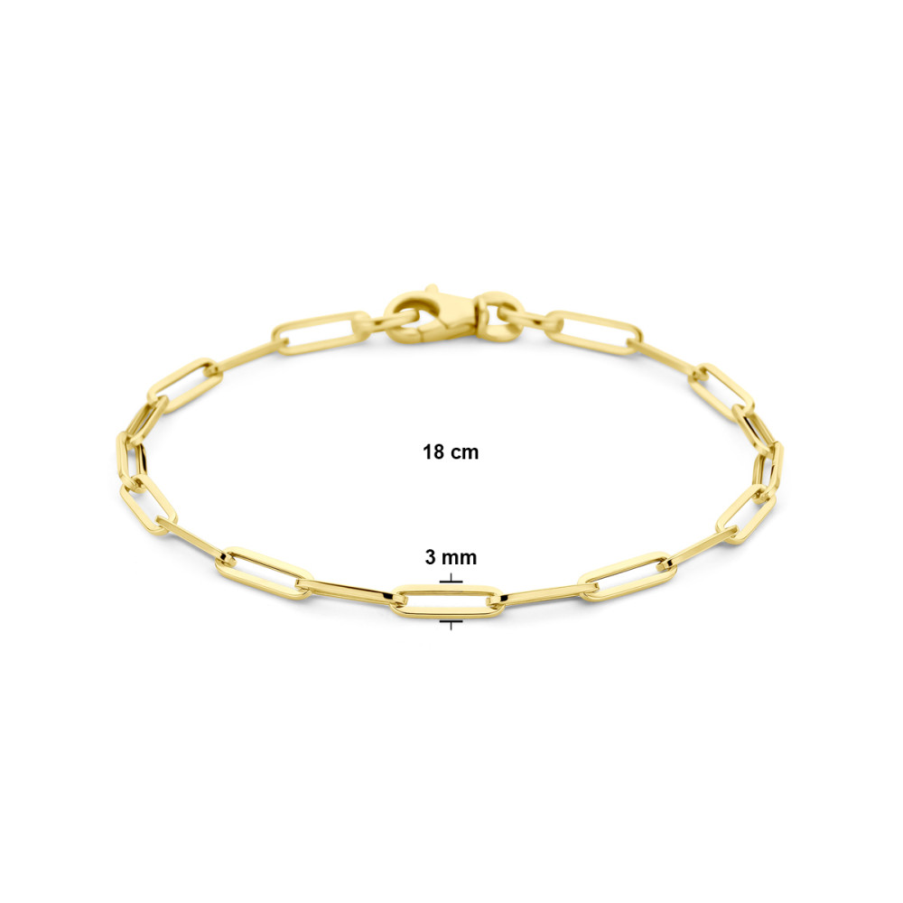 schakelarmband-14-karaat-goud-paperclip-schakels-glanzend-3-mm-breedte-lengte-18-cm