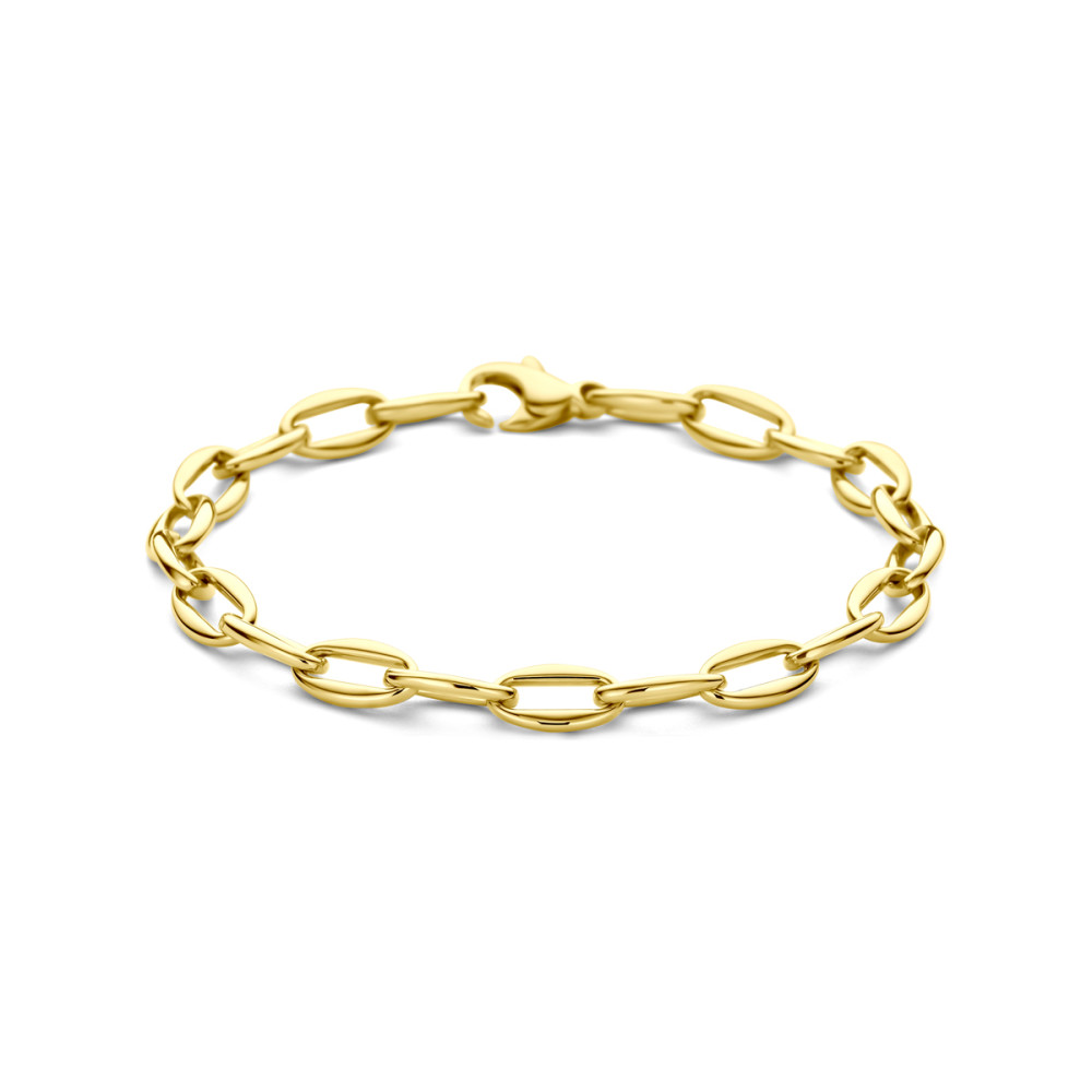 schakelarmband-anker-14-karaat-goud-glanzend-6-mm-breedte-lengte-18-5-cm