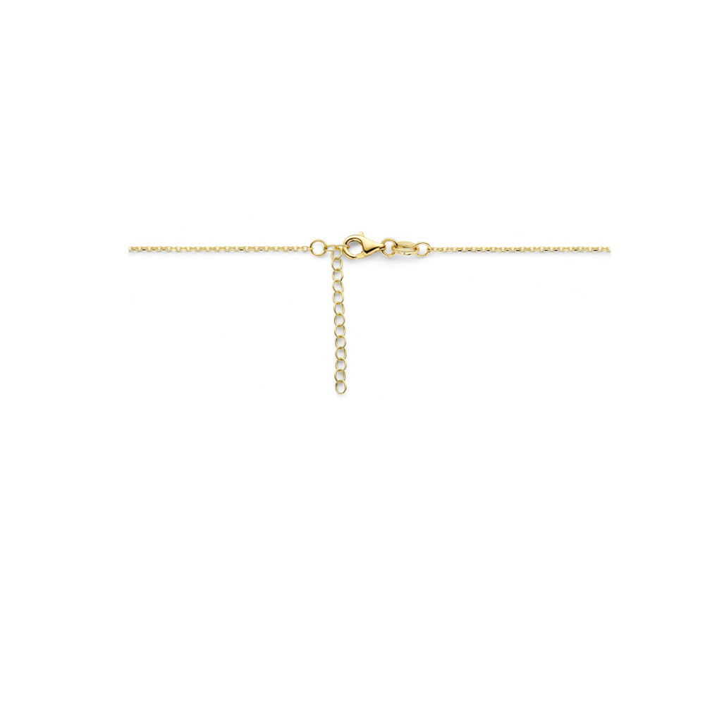 schakelketting-14-karaat-goud-anker-glanzend-lengte-42-tm-45-cm
