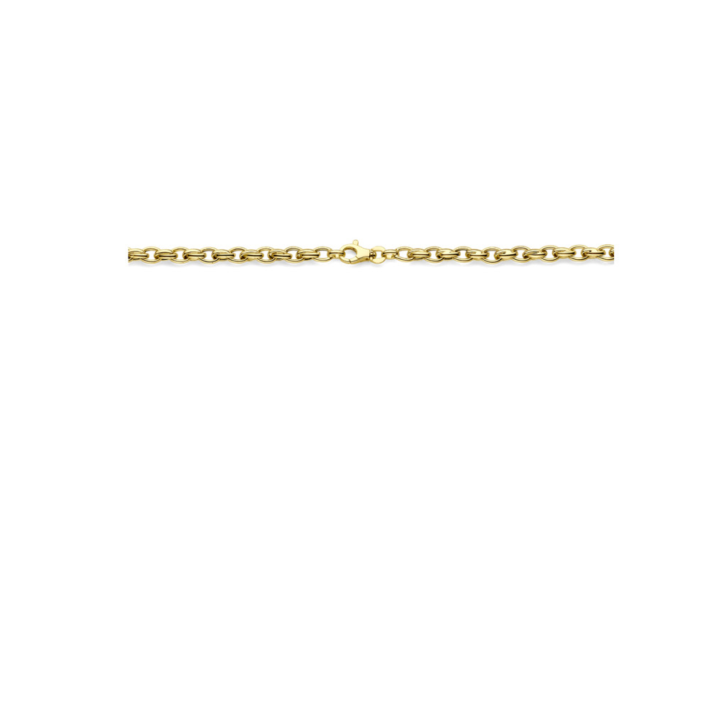 schakelketting-14-karaat-goud-glanzend-ovaal-5-mm-breedte-lengte-45-cm