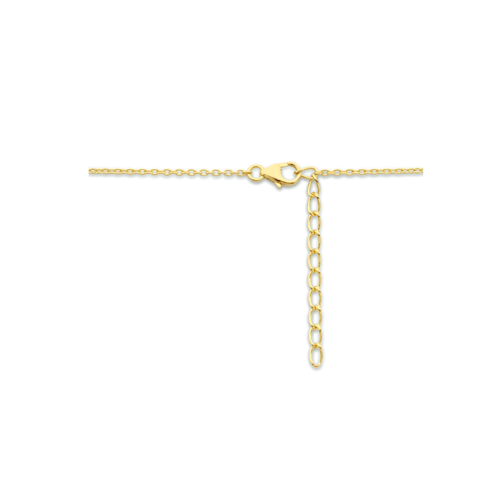 sleutelvormige-1-5-mm-collier-met-hanger-gold-plated-lengte-verstelbaar-41-45-cm
