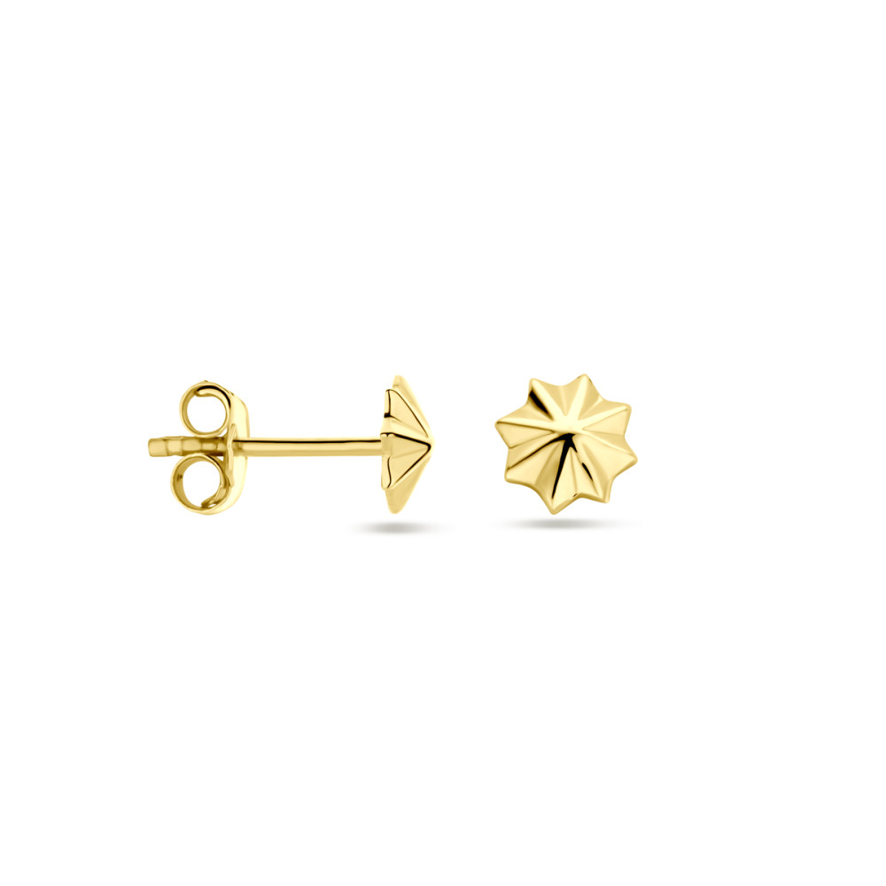 ster-oorstekers-goud-14-karaat-diameter-5-5-mm