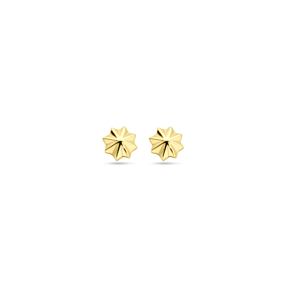 ster-oorstekers-goud-14-karaat-diameter-5-5-mm