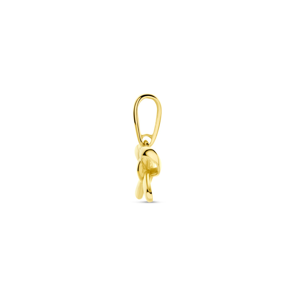 strik-hanger-dames-14-karaat-glanzend-goud-9-mm-breed-x-12-mm-hoog