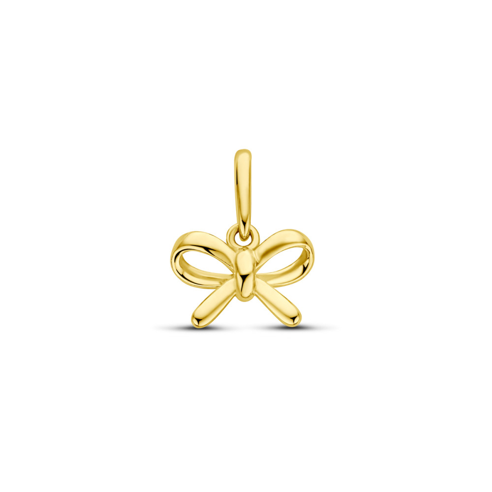 strik-hanger-dames-14-karaat-glanzend-goud-9-mm-breed-x-12-mm-hoog