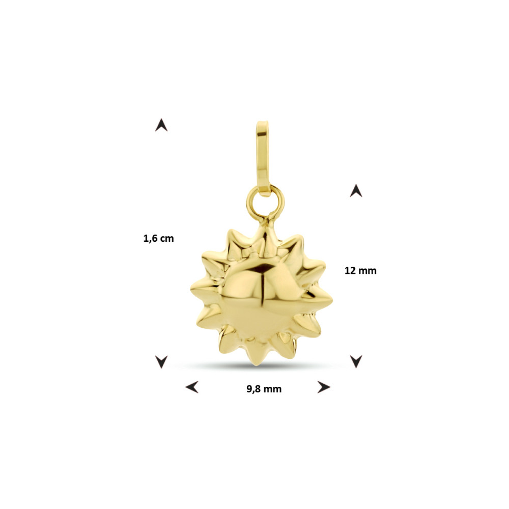zon-hanger-glanzend-14-karaat-goud-9-8-mm-breed-x-16-mm-hoog