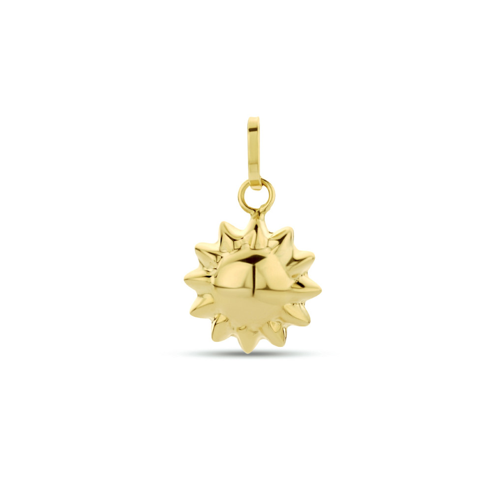 zon-hanger-glanzend-14-karaat-goud-9-8-mm-breed-x-16-mm-hoog