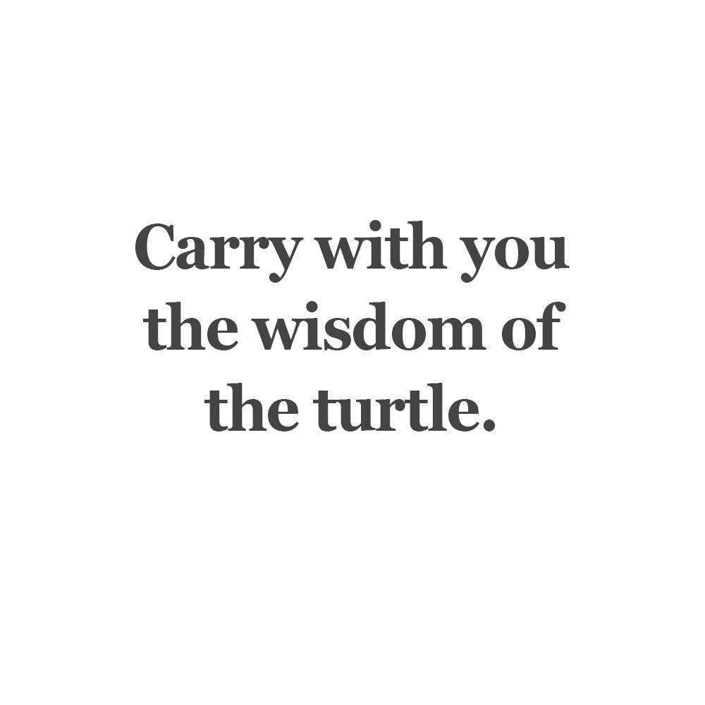 trollbeads-tagbe-00299-zilveren-bedel-met-schildpad-en-citrienkwarts