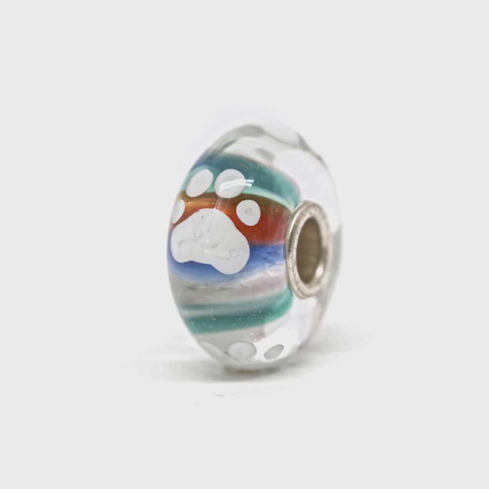 trollbeads-tglbe-20387-kraal-levensgezel-zilver-glas