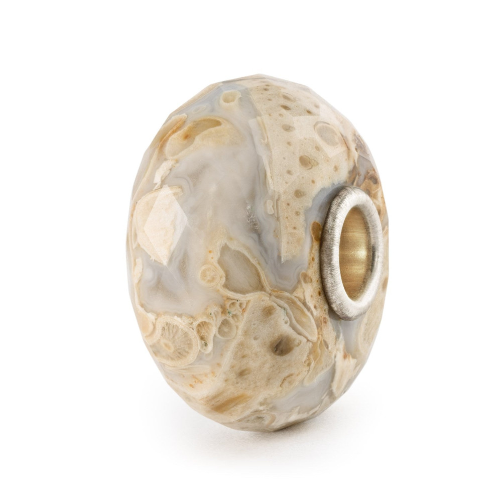 trollbeads-tstbe-20042-zilveren-bedel-met-gefossiliseerd-hout-en-natuurlijke-aardetinten