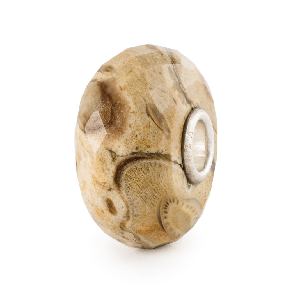 trollbeads-tstbe-20042-zilveren-bedel-met-gefossiliseerd-hout-en-natuurlijke-aardetinten