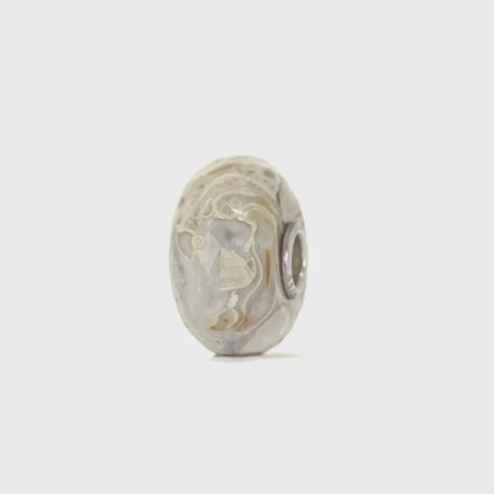 trollbeads-tstbe-20042-zilveren-bedel-met-gefossiliseerd-hout-en-natuurlijke-aardetinten