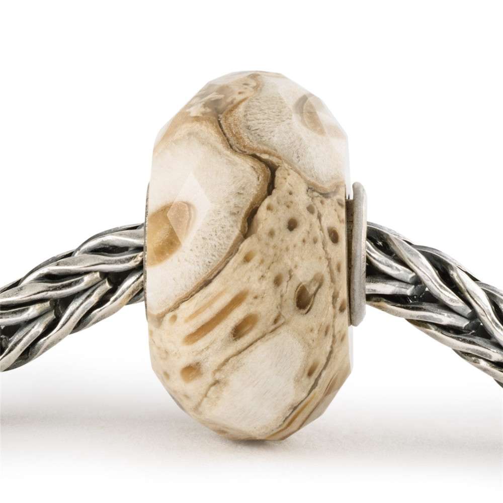 trollbeads-tstbe-20042-zilveren-bedel-met-gefossiliseerd-hout-en-natuurlijke-aardetinten