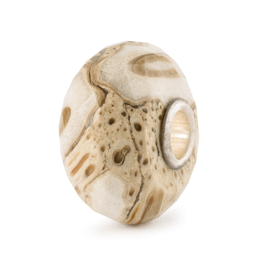 trollbeads-tstbe-20042-zilveren-bedel-met-gefossiliseerd-hout-en-natuurlijke-aardetinten