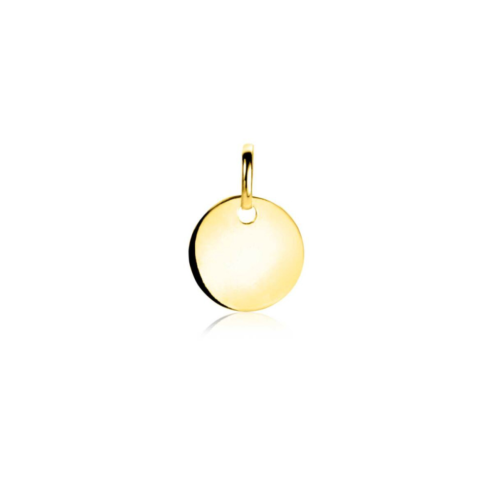zinzi-gravures-zgh397-10-graveerhanger-14-karaat-goud-rond-10-mm-breed-x-12-5-mm-hoog