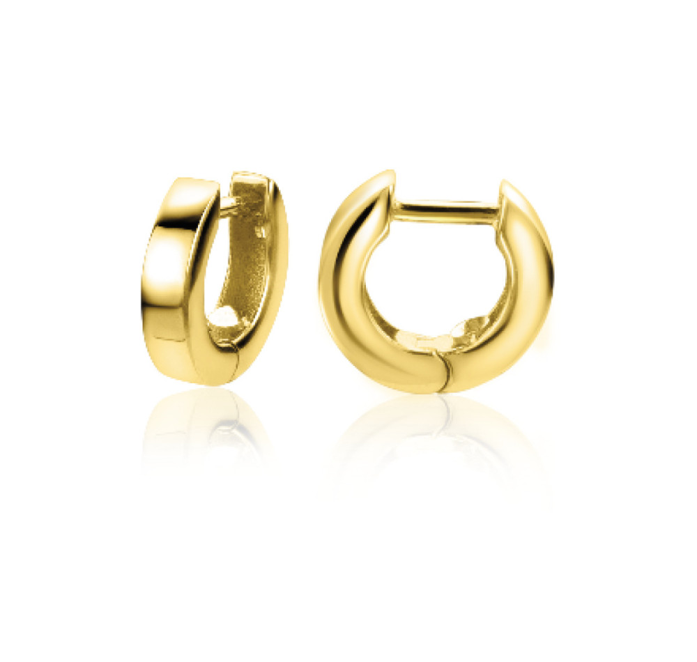 zinzi-zgo303-oorringen-rond-gouden-glanzend-2-3-mm-breed-x-10-mm-diameter