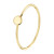 17.00 mm / maat 53
